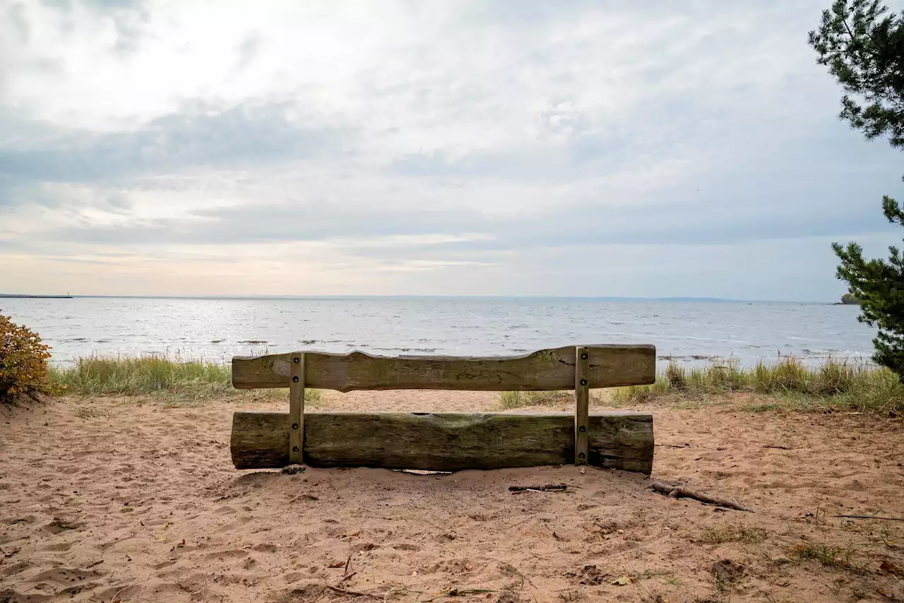 Sommartips från Halmstad – härligt häng på Zigges eller promenad på prins Bertils stig