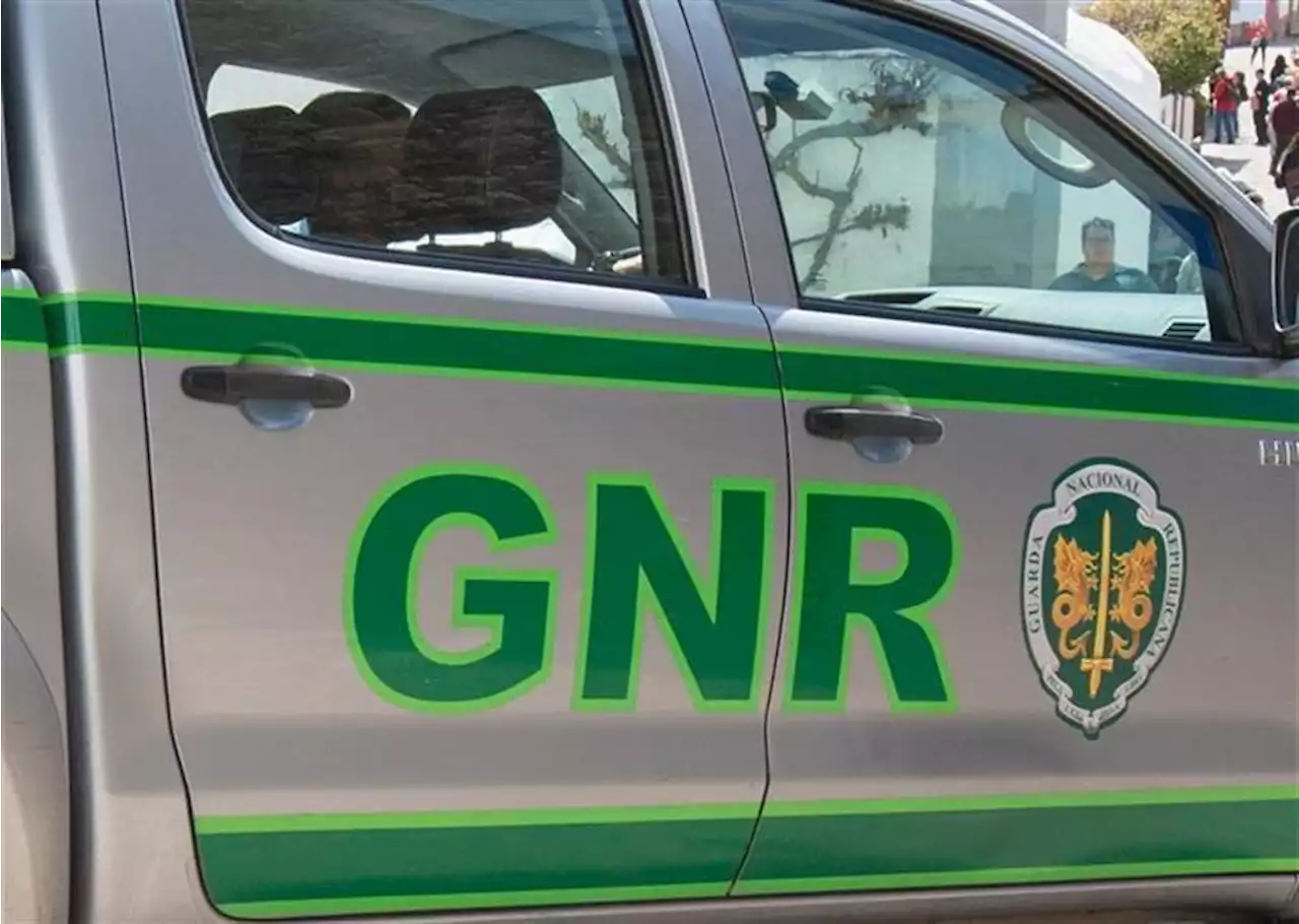 GNR apreende 500 mil cigarros na Maia