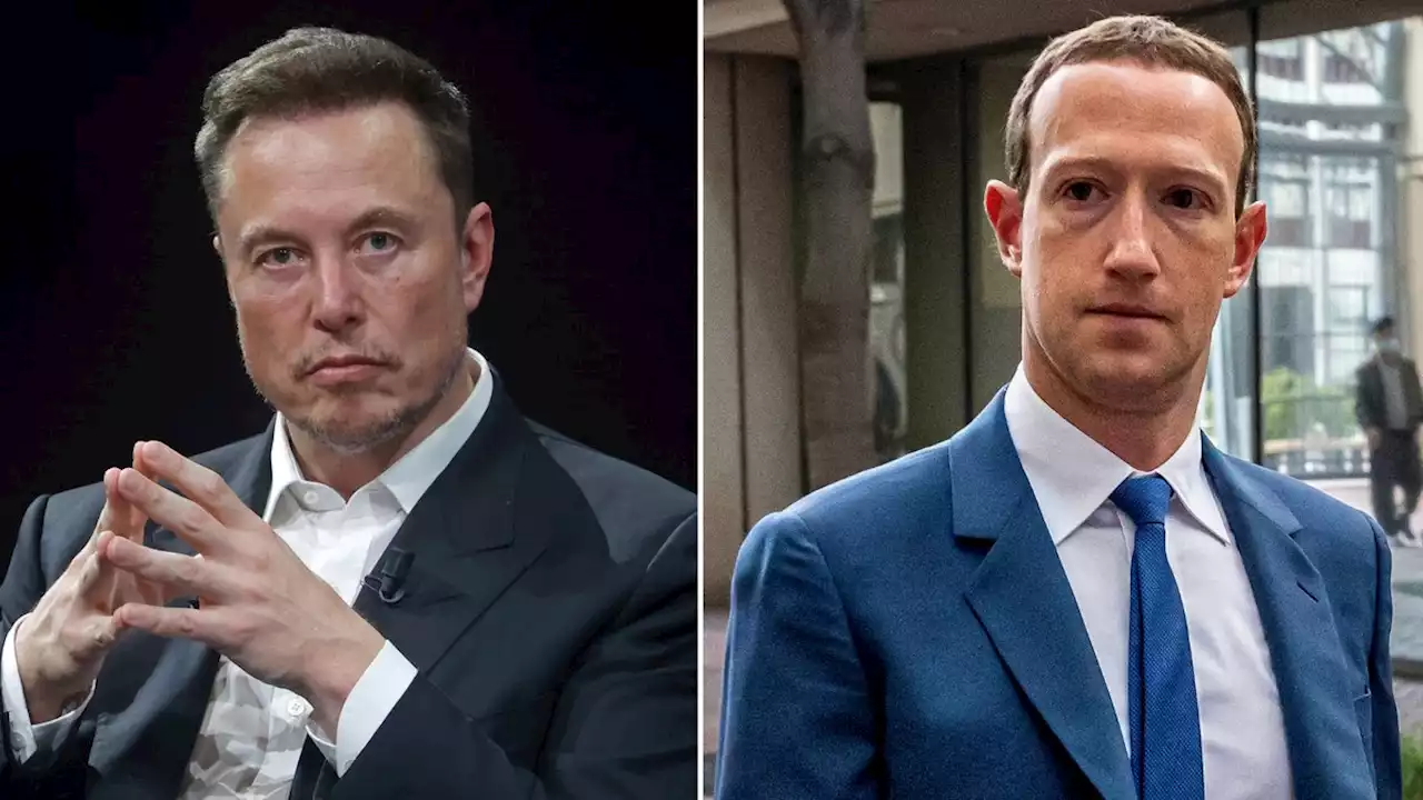 Do Mark Zuckerberg and Elon Musk Have Nothing Better To Do Than This?