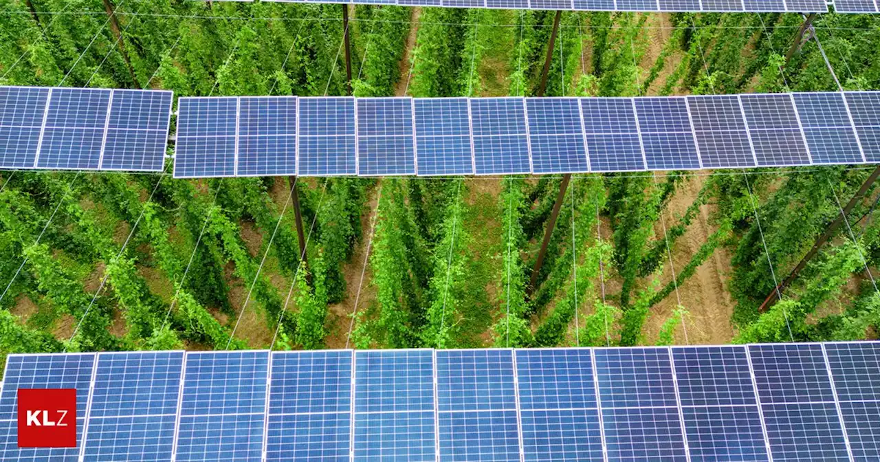 Photovoltaik über dem Acker: Start für erste Hopfen-Agri-Photovoltaik-Anlage in Deutschland