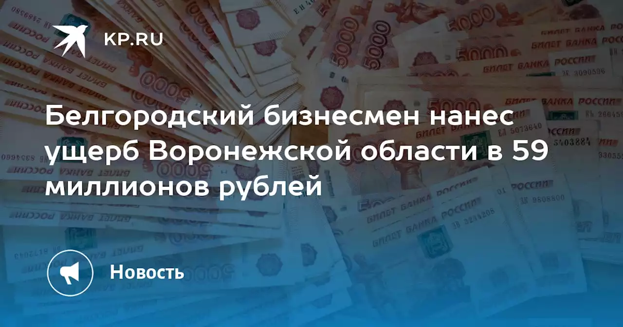 Белгородский бизнесмен нанес ущерб Воронежской области в 59 миллионов рублей