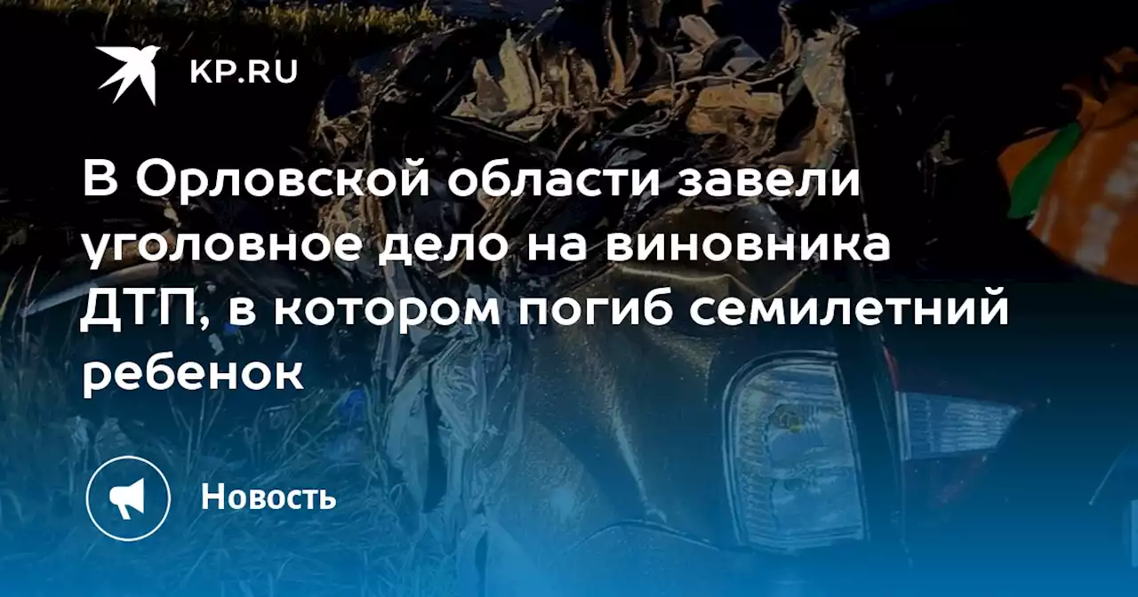 В Орловской области завели уголовное дело на виновника ДТП, в котором погиб семилетний ребенок