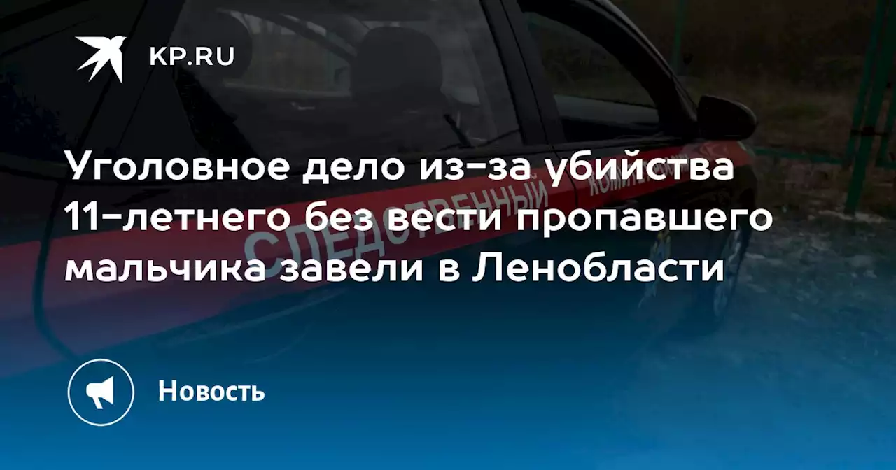 Уголовное дело из-за убийства 11-летнего без вести пропавшего мальчика завели в Ленобласти