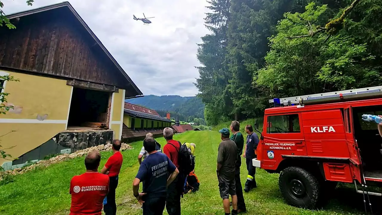 Vermisster Schwammerlsucher (82) tot aufgefunden