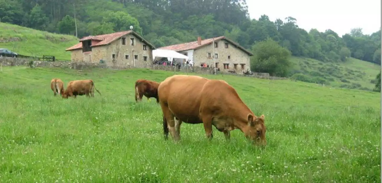 'Carnísima': una alternativa saludable y basada en técnicas tradicionales que busca potenciar el desarrollo rural