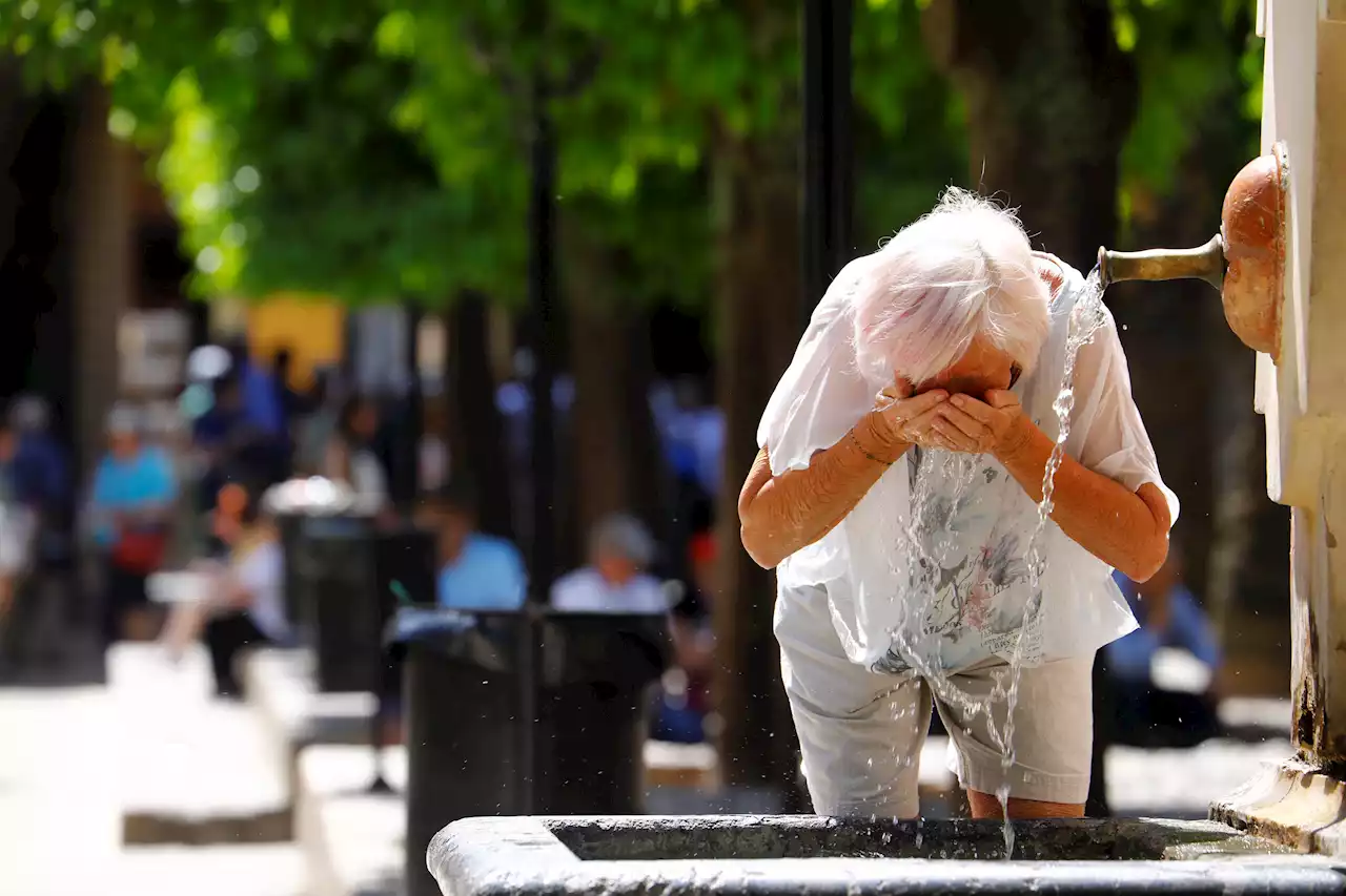 La agencia científica de la ONU confirma que la semana pasada se batió el récord global de calor