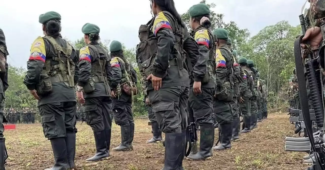 Diálogos entre disidencias Farc y el Gobierno generan gran expectativa en el Cauca