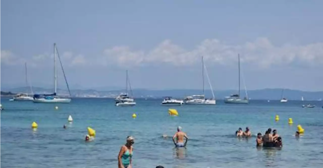 À Porquerolles, la nature face au tourisme