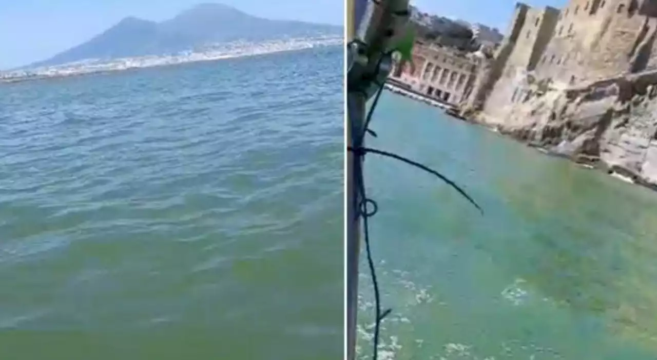 Napoli, l'acqua del Golfo di color verde. Ecco il motivo