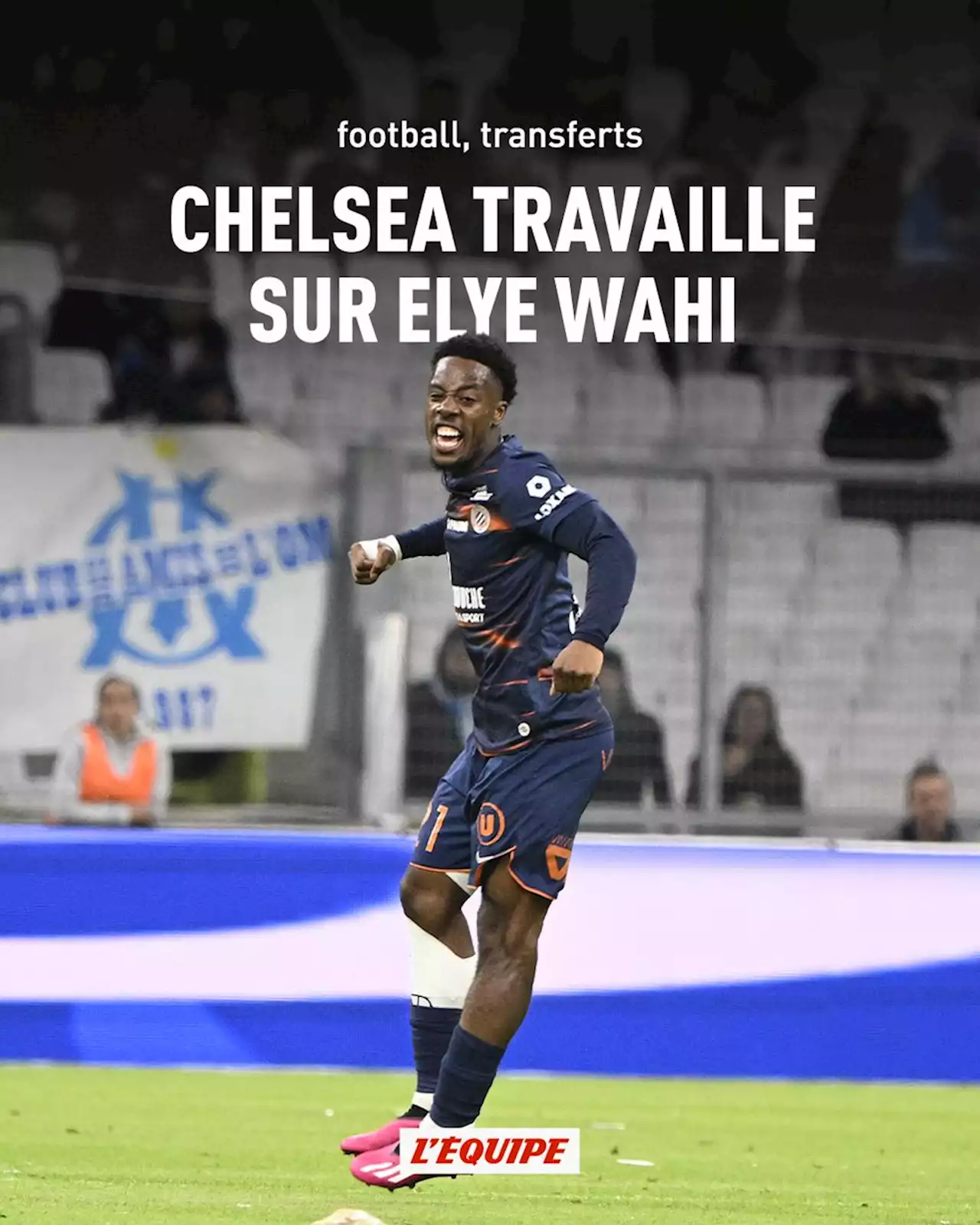 Transferts : Chelsea travaille sur Elye Wahi (Montpellier)