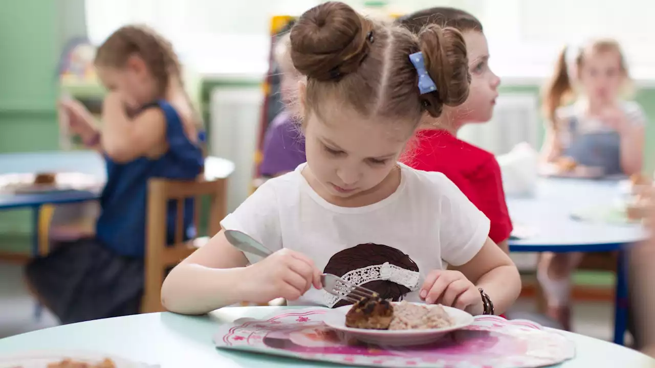 Mon enfant ne veut plus manger d’animal mort, c’est grave ?