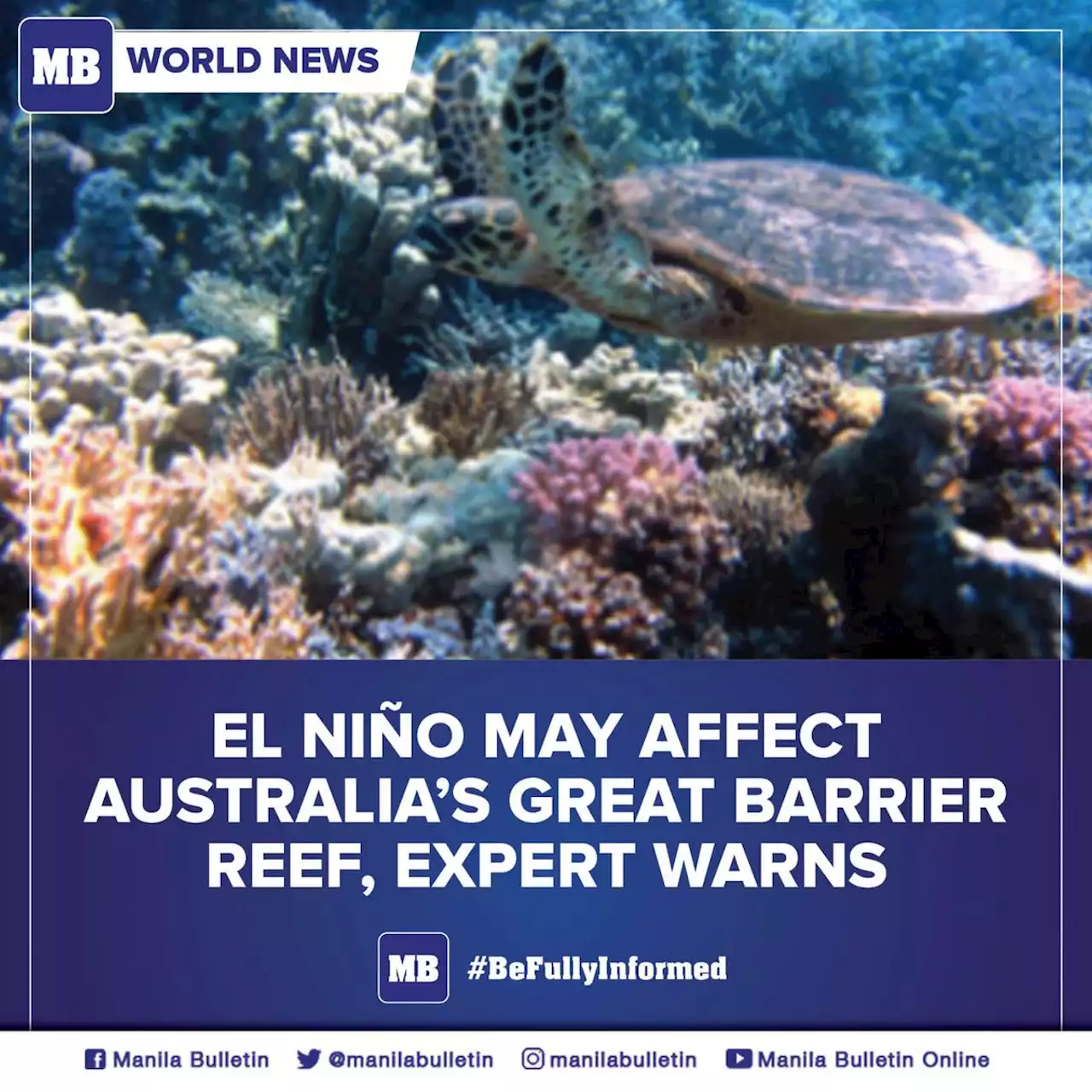 Experts warn El Nino threats Australia's Great Barrier Reef