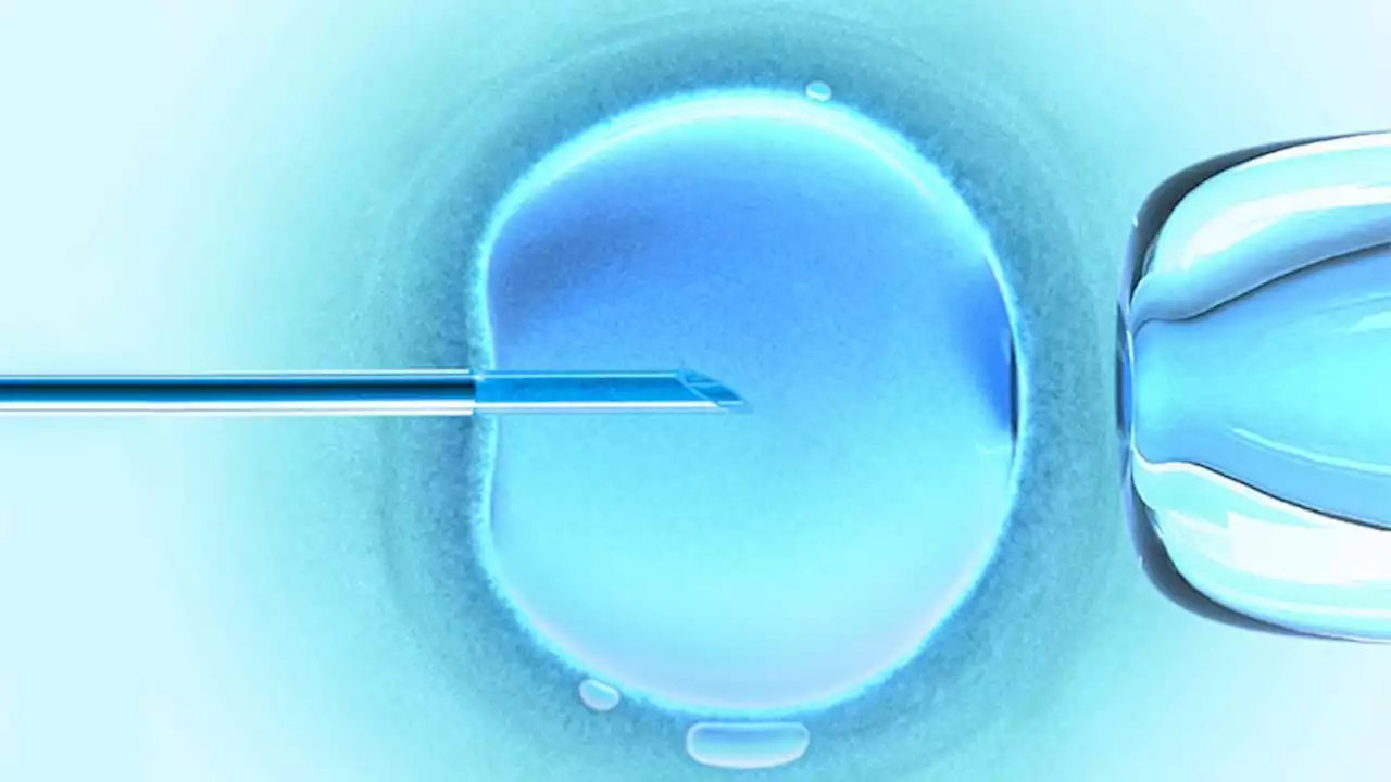 What Is a 'Three-Parent Baby'? What to Know About Mitochondrial Replacement Therapy