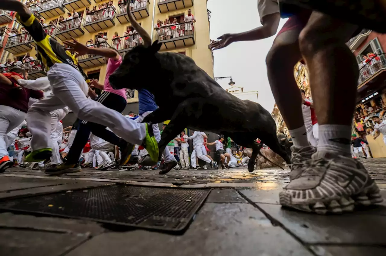 Photos: Thousands take part in San Fermín Festival’s running of the bulls in Pamplona