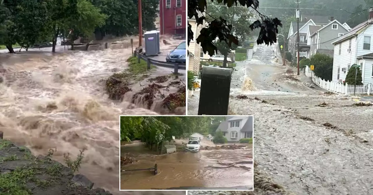 Woman swept away in New York flash flood while trying to save her dog