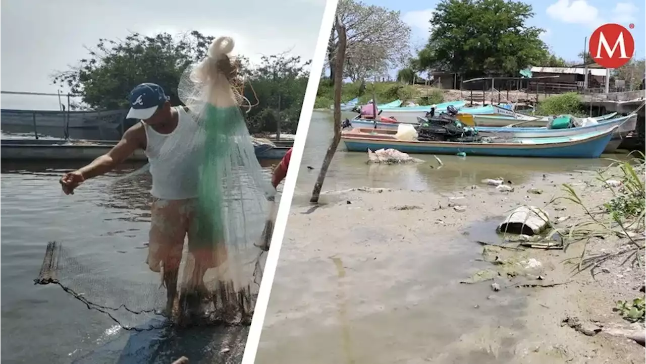 Captura de peces disminuye por altas temperaturas en sur de Tamaulipas