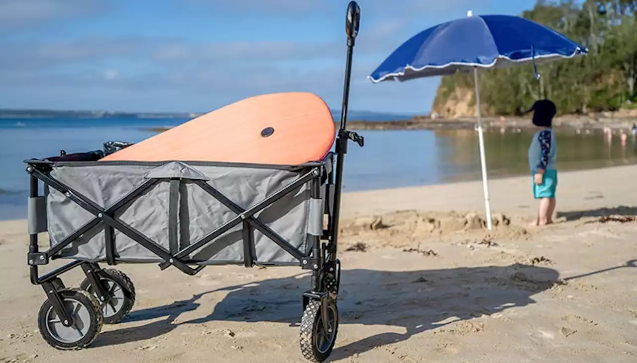 Best beach wagons for kids