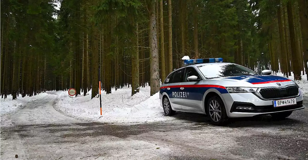 Mord mit Schneestange in Bad Leonfelden: Samuel Z. am Donnerstag vor Gericht