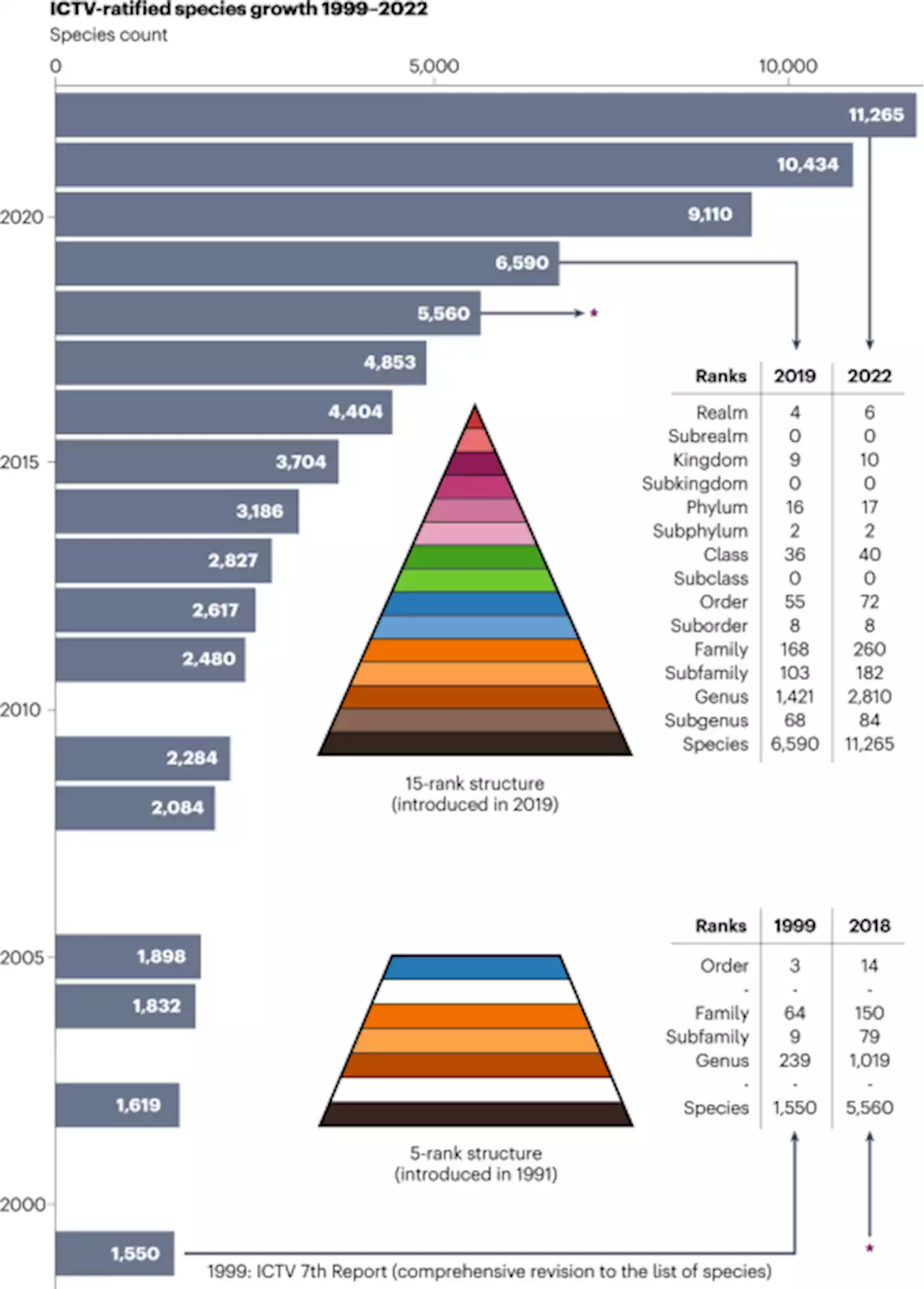 Guidelines for public database submission of uncultivated virus genome sequences for taxonomic classification - Nature Biotechnology