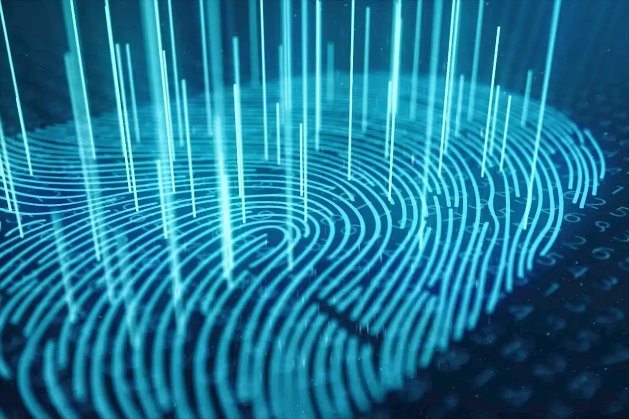 Landmark Information Regulator fine sets the tone for SA data protection | News24