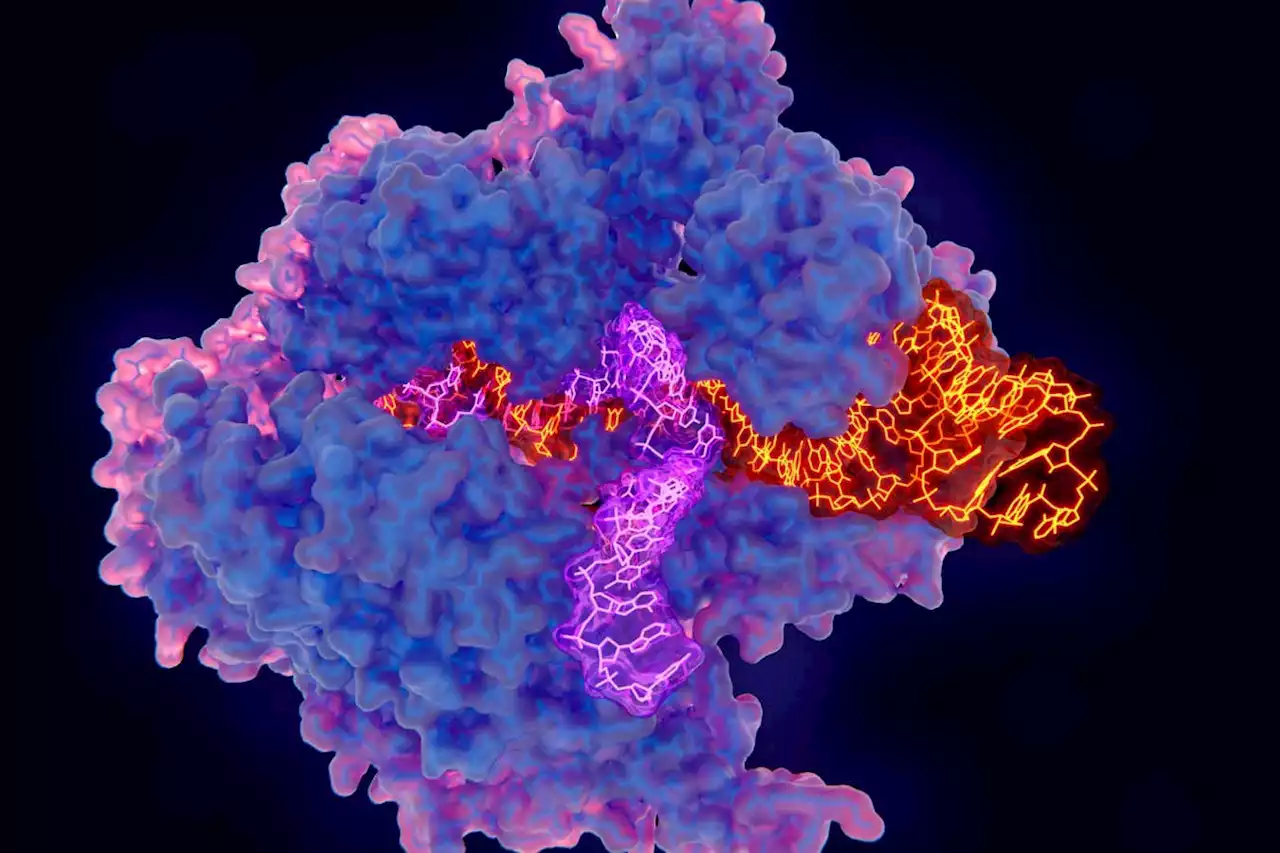 The high cost of CRISPR therapy will stop it getting to most patients