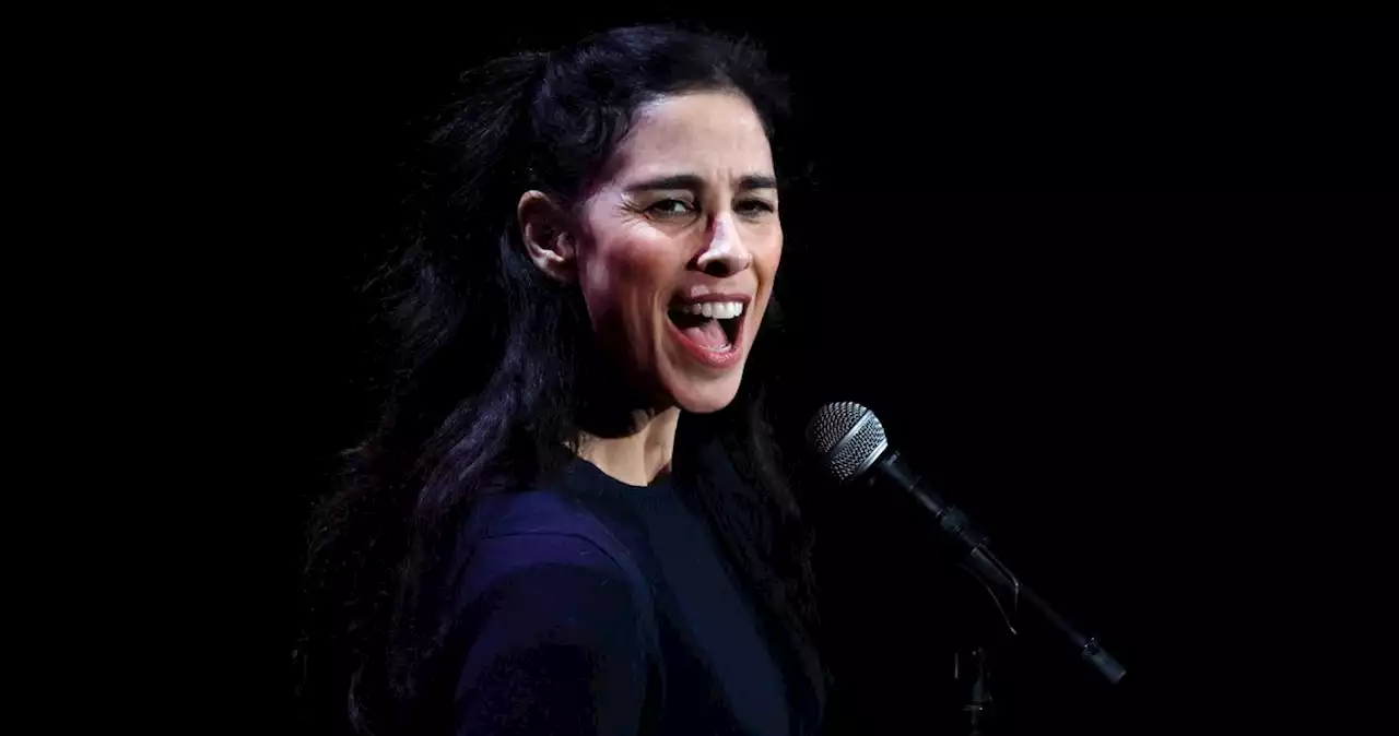 Sarah Silverman Is Suing ChatGPT