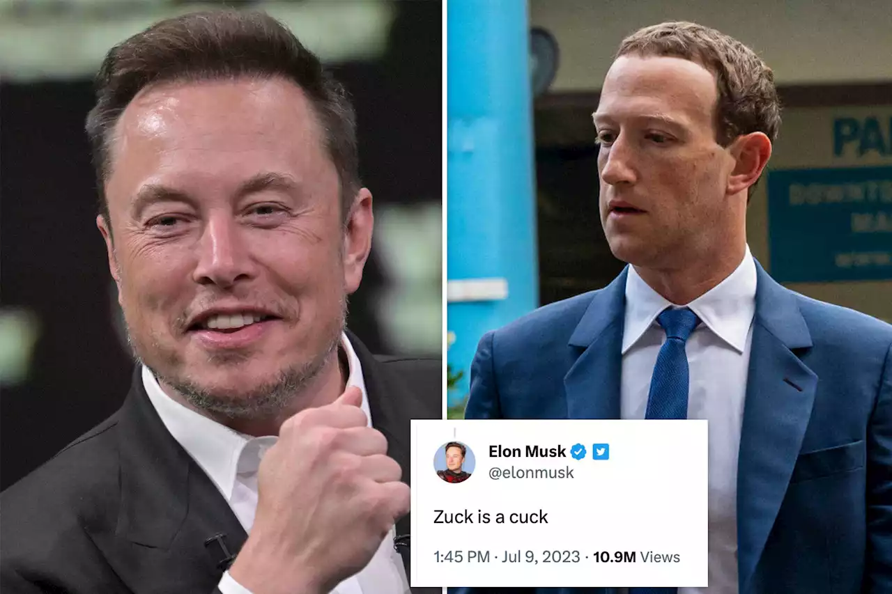 Elon Musk snipes ‘Zuck is a cuck’ about Meta boss Zuckerberg after rival Twitter app launch