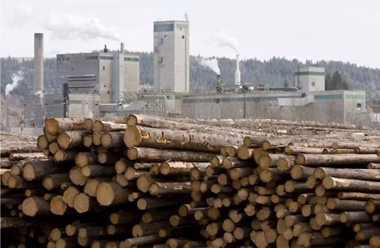 West Fraser Timber selling pulp mill in Hinton, Alta., to Mondi Group