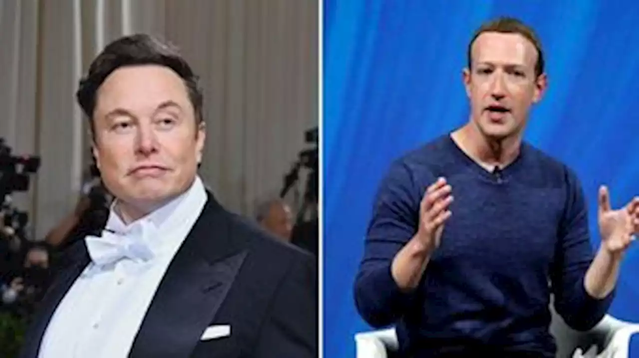 Elon Musk desafia Mark Zuckerberg para competição de tamanho de órgão genital