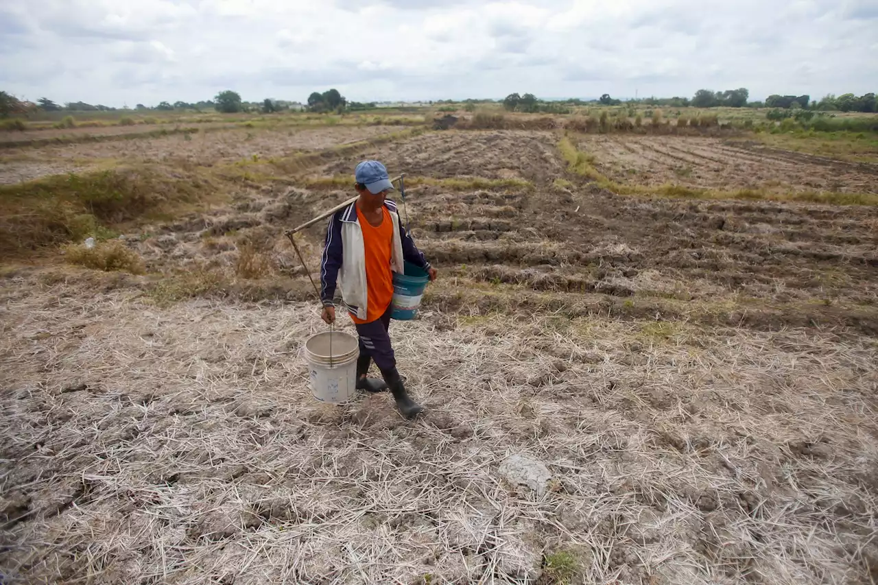 Marcos gets $600-million World Bank loan for agriculture, fisheries development