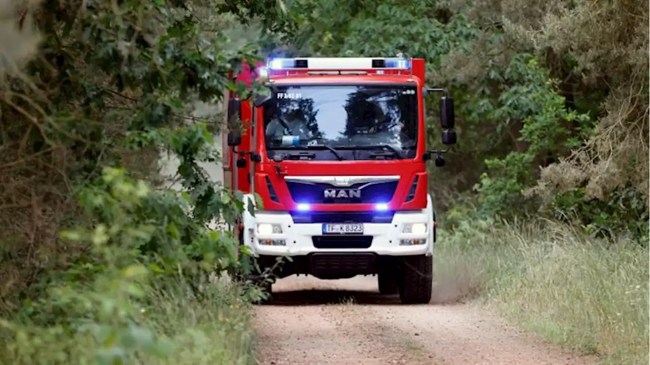 Waldbrand auf Truppenübungsplatz bei Jüterbog unter Kontrolle