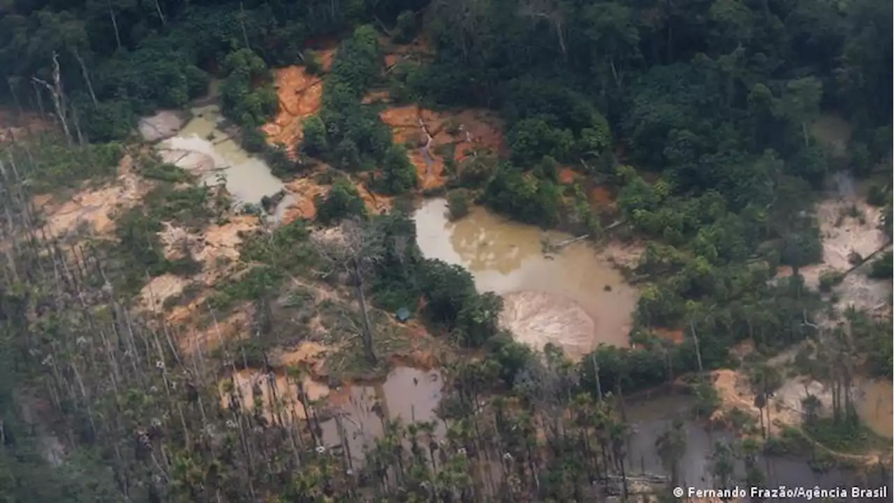 O que se sabe sobre ataque a tiros que matou menina yanomami