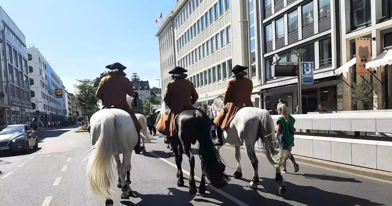 Tierschützer kündigen Demonstration an: Pferd stirbt bei Schützenparade in Düsseldorf – Ermittlungen eingestellt