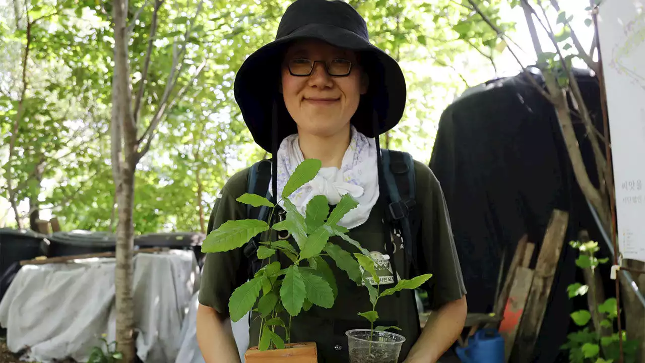 '쓰레기 산'에 숲 키우는 활동가 '여기 사는 동식물에게 고맙다'