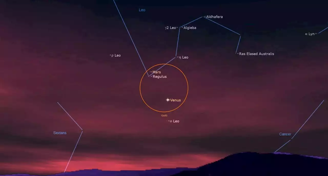 See the Red Planet Mars shine beside the blue star Regulus tonight