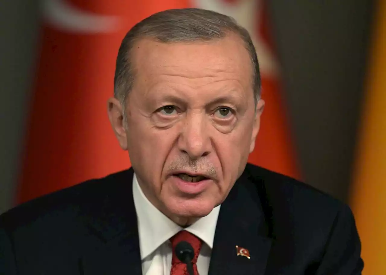 Otan : Erdogan finalement d’accord pour soutenir l’adhésion de la Suède