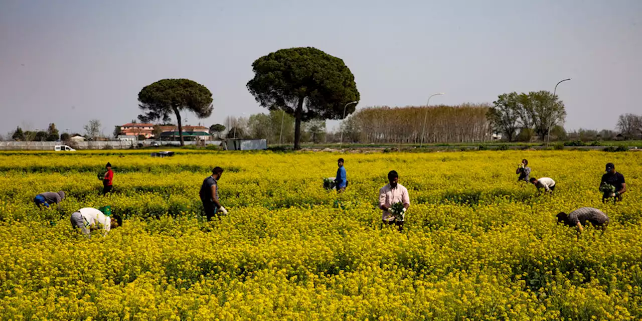 Meloni für Migration in Italien: Realistischer Rassismus