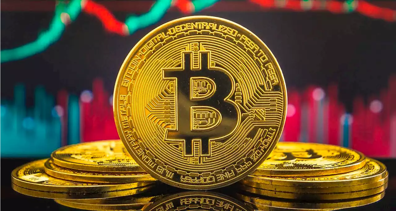 'Halvening' could spark huge bitcoin rally - TechCentral
