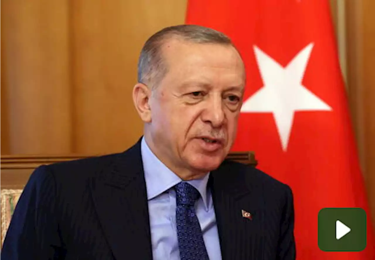 Erdogan ricatta: 'La Svezia nella Nato solo se l'Ue apre alla Turchia'