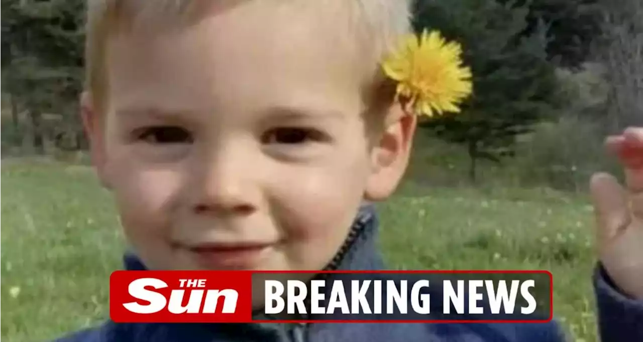 Desperate search for boy, 2, who vanished while playing in garden on holiday