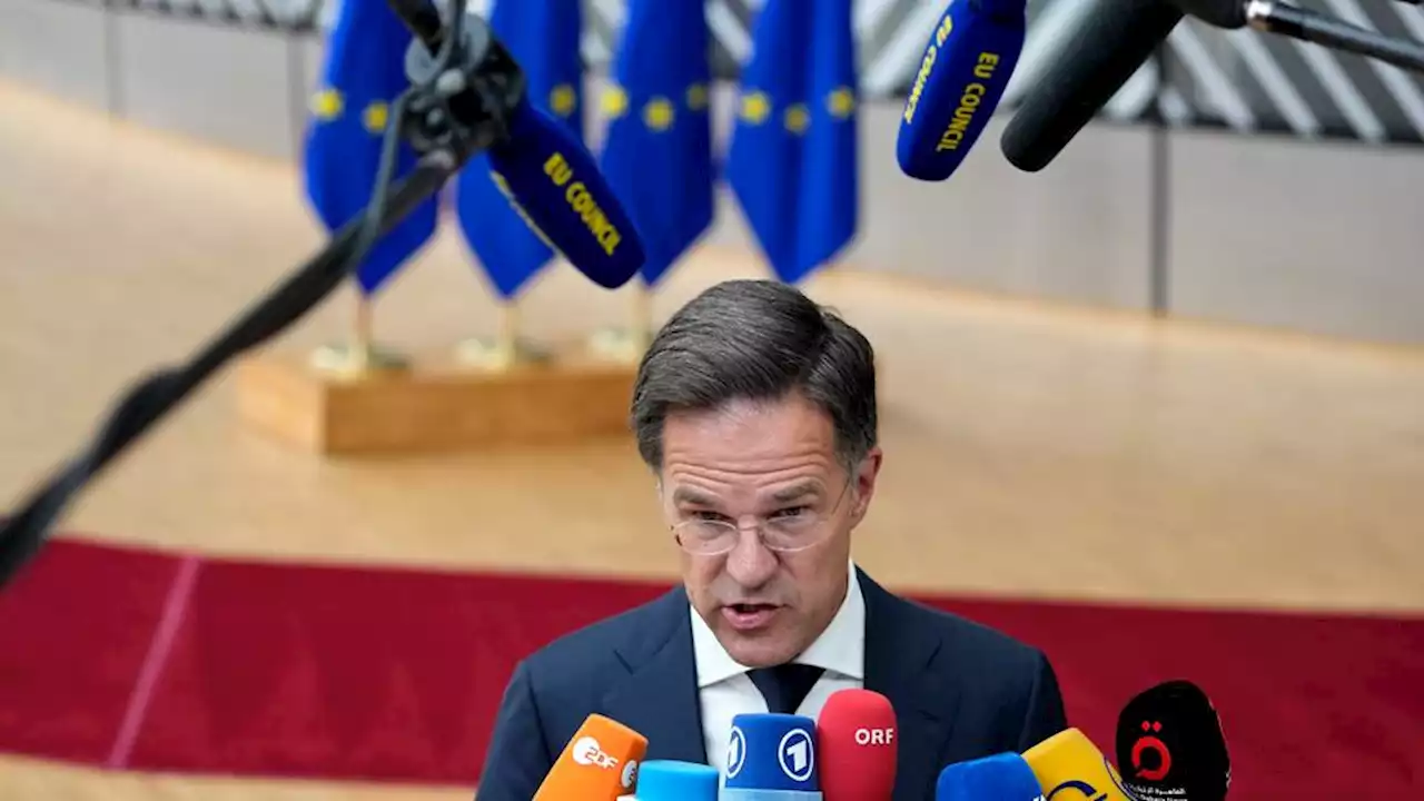 Dutch PM Rutte to quit politics after election