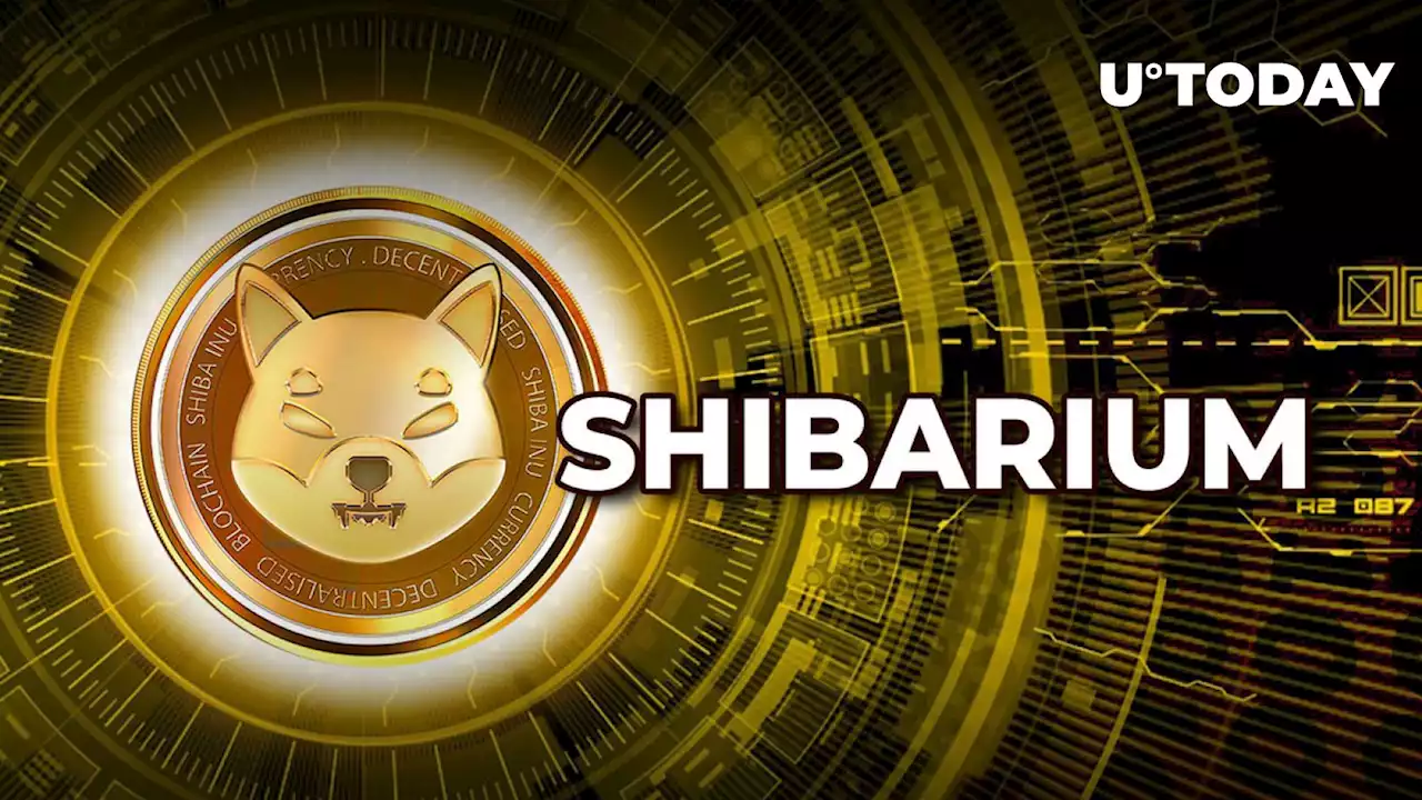 Shibarium Testnet Sets Major New Record in Last Five Days: Details