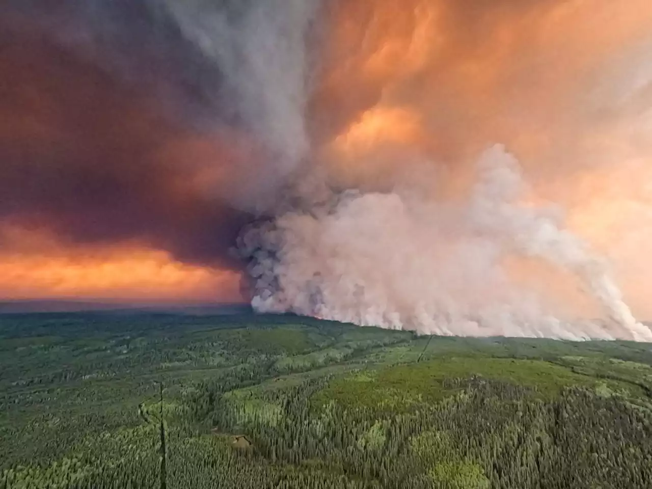 B.C. announces total campfire ban amid huge surge in wildfires