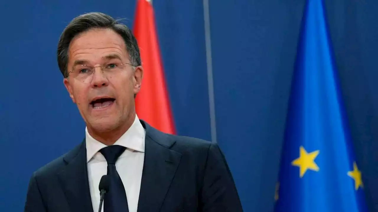 niederländischer premier rutte will politik verlassen