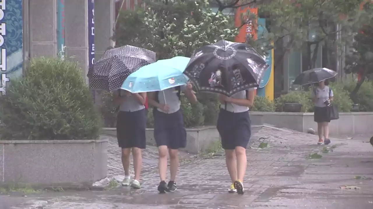 [날씨] 전국 강한 비, 곳곳 호우특보...벼락·돌풍·우박 동반