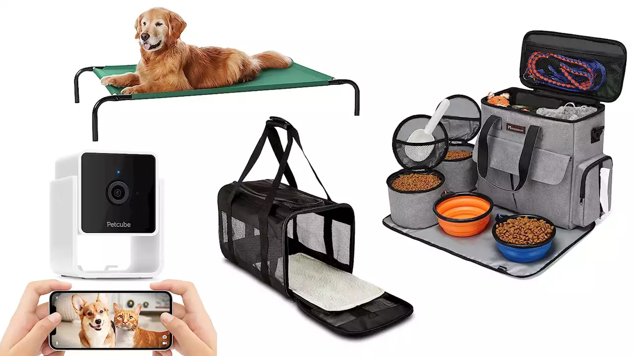 10 Amazon Prime Day deals for your pet