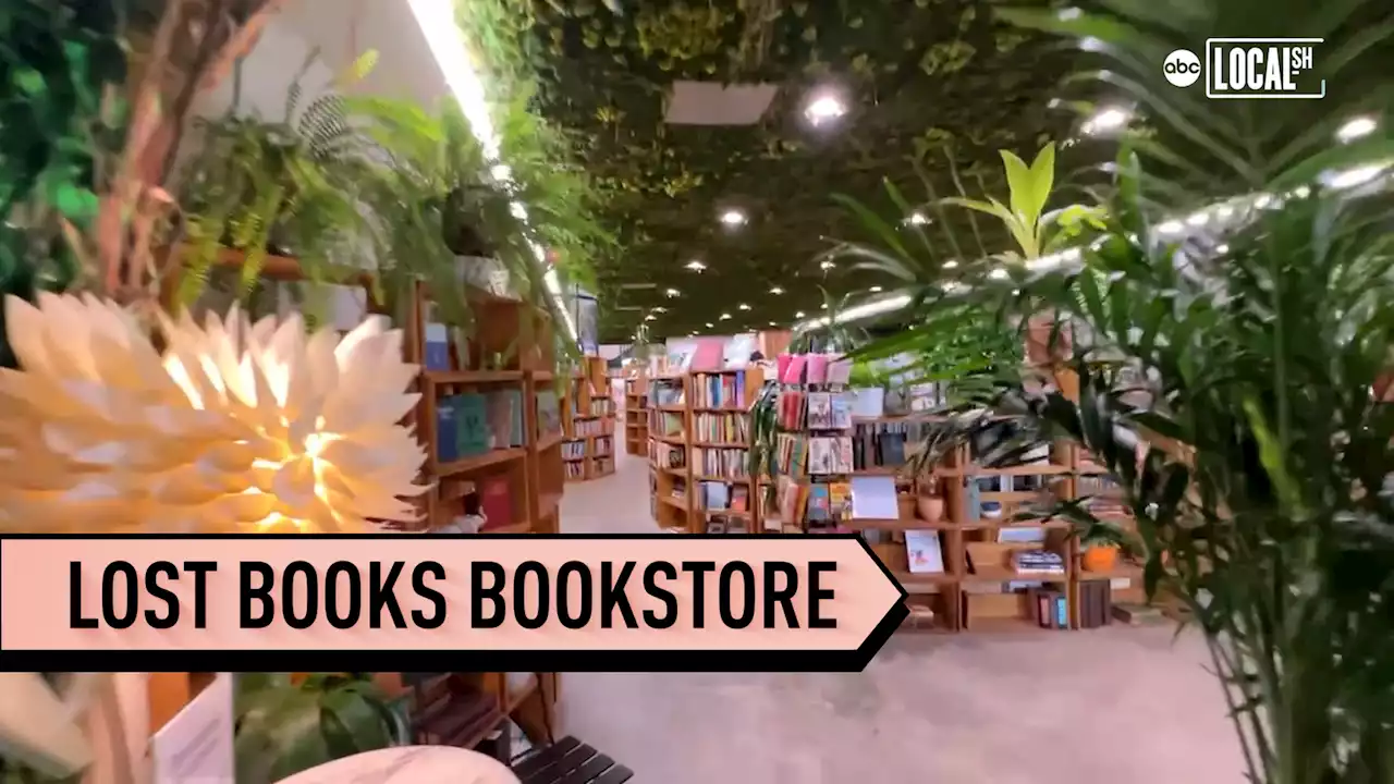 Unique bookstore keeps love of books alive with nature-inspired decor