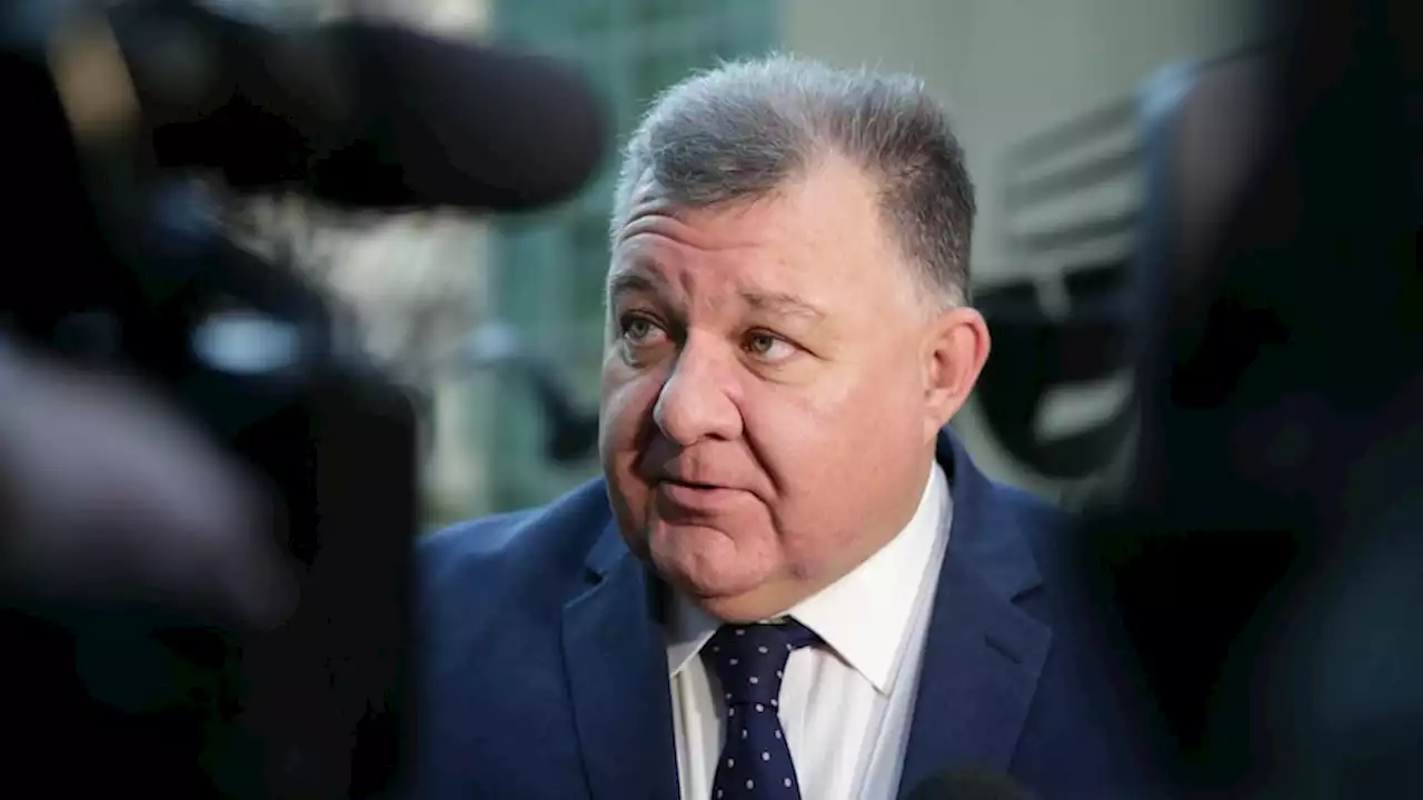 'The theft was rife': Craig Kelly in court over federal campaign poster dispute