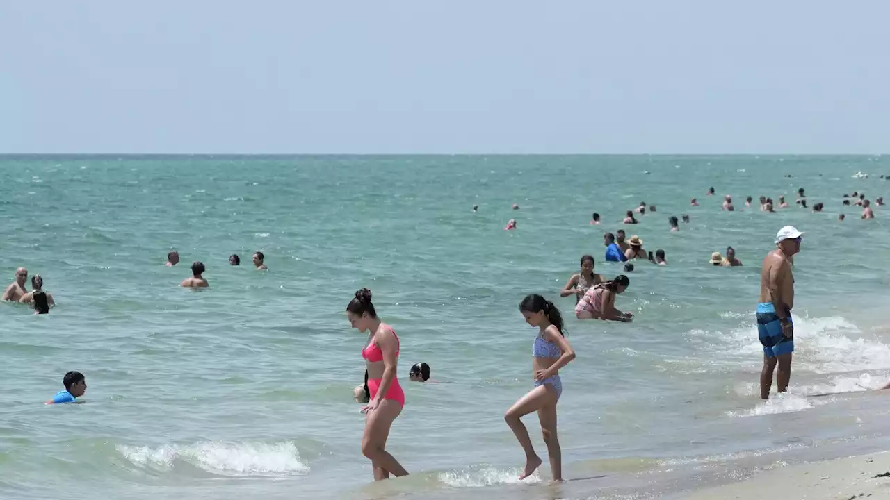 Florida in hot water as ocean temperatures rise along with the humidity