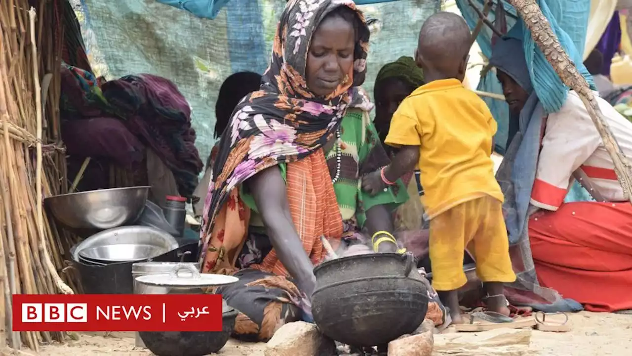 الحرب في السودان: كيف يعيش اللاجئون السودانيون أوضاعا 'مأساوية' في تشاد؟ - BBC News عربي